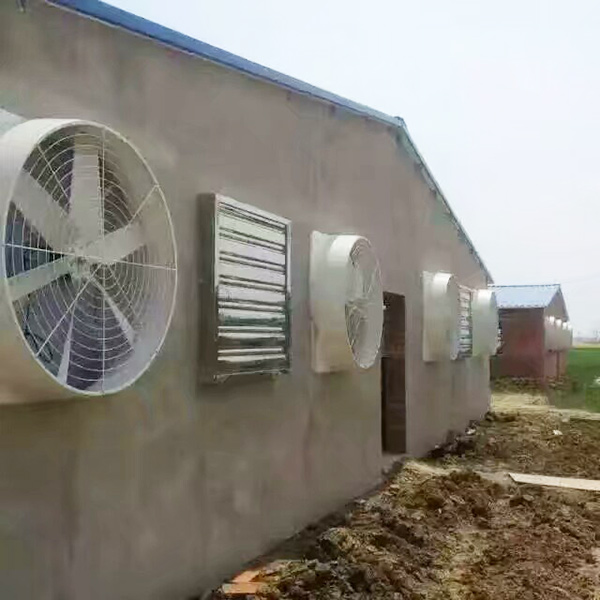畜牧1024香蕉视频